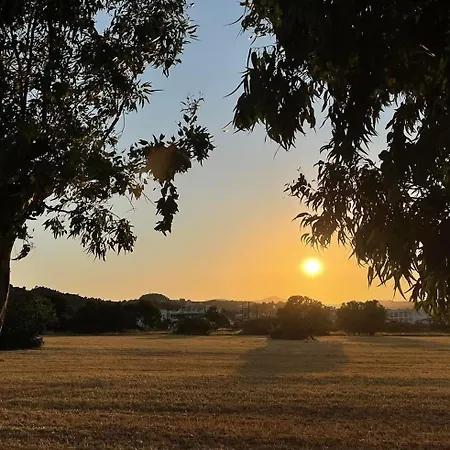 Nikos * 팔리라키