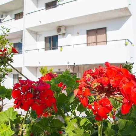 Nikos 公寓 法里拉基