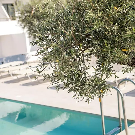 Nikos Apartament Faliraki